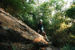 BIB: 
                            <button type="button" onclick="openModal(27937588)" class="btn btn-primary btn-sm float-right btn-popup" data-toggle="modal" data-target=".modal-high-quality">
                        <i class="fas fa-shopping-cart"></i> Add to Cart
                    </button>
                                            <button type="button" onclick="isThisMe(27937588, true)" class="btn btn-success btn-sm float-right btn-popup btn-isme hidden" data-toggle="tooltip" data-placement="bottom" title="นี่คือรูปของคุณใช่ไหม คลิกที่นี่เพื่อเอาเข้าอัลบั้ม">
                        <i class="fas fa-plus"></i> Add to album
                    </button>
                    <button type="button" onclick="isThisMe(27937588, false)" class="btn btn-warning btn-sm float-right btn-popup btn-isnotme hidden">
                        <i class="fas fa-ban"></i> Remove from album
                    </button>