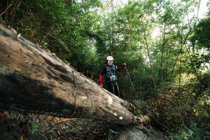 BIB: 
                            <button type="button" onclick="openModal(27934822)" class="btn btn-primary btn-sm float-right btn-popup" data-toggle="modal" data-target=".modal-high-quality">
                        <i class="fas fa-shopping-cart"></i> Add to Cart
                    </button>
                                            <button type="button" onclick="isThisMe(27934822, true)" class="btn btn-success btn-sm float-right btn-popup btn-isme hidden" data-toggle="tooltip" data-placement="bottom" title="นี่คือรูปของคุณใช่ไหม คลิกที่นี่เพื่อเอาเข้าอัลบั้ม">
                        <i class="fas fa-plus"></i> Add to album
                    </button>
                    <button type="button" onclick="isThisMe(27934822, false)" class="btn btn-warning btn-sm float-right btn-popup btn-isnotme hidden">
                        <i class="fas fa-ban"></i> Remove from album
                    </button>