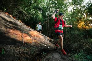 BIB: 
                            <button type="button" onclick="openModal(27957954)" class="btn btn-primary btn-sm float-right btn-popup" data-toggle="modal" data-target=".modal-high-quality">
                        <i class="fas fa-shopping-cart"></i> Add to Cart
                    </button>
                                            <button type="button" onclick="isThisMe(27957954, true)" class="btn btn-success btn-sm float-right btn-popup btn-isme hidden" data-toggle="tooltip" data-placement="bottom" title="นี่คือรูปของคุณใช่ไหม คลิกที่นี่เพื่อเอาเข้าอัลบั้ม">
                        <i class="fas fa-plus"></i> Add to album
                    </button>
                    <button type="button" onclick="isThisMe(27957954, false)" class="btn btn-warning btn-sm float-right btn-popup btn-isnotme hidden">
                        <i class="fas fa-ban"></i> Remove from album
                    </button>