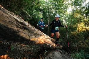 BIB: 
                            <button type="button" onclick="openModal(27940056)" class="btn btn-primary btn-sm float-right btn-popup" data-toggle="modal" data-target=".modal-high-quality">
                        <i class="fas fa-shopping-cart"></i> Add to Cart
                    </button>
                                            <button type="button" onclick="isThisMe(27940056, true)" class="btn btn-success btn-sm float-right btn-popup btn-isme hidden" data-toggle="tooltip" data-placement="bottom" title="นี่คือรูปของคุณใช่ไหม คลิกที่นี่เพื่อเอาเข้าอัลบั้ม">
                        <i class="fas fa-plus"></i> Add to album
                    </button>
                    <button type="button" onclick="isThisMe(27940056, false)" class="btn btn-warning btn-sm float-right btn-popup btn-isnotme hidden">
                        <i class="fas fa-ban"></i> Remove from album
                    </button>