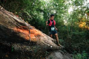 BIB: 
                            <button type="button" onclick="openModal(27958129)" class="btn btn-primary btn-sm float-right btn-popup" data-toggle="modal" data-target=".modal-high-quality">
                        <i class="fas fa-shopping-cart"></i> Add to Cart
                    </button>
                                            <button type="button" onclick="isThisMe(27958129, true)" class="btn btn-success btn-sm float-right btn-popup btn-isme hidden" data-toggle="tooltip" data-placement="bottom" title="นี่คือรูปของคุณใช่ไหม คลิกที่นี่เพื่อเอาเข้าอัลบั้ม">
                        <i class="fas fa-plus"></i> Add to album
                    </button>
                    <button type="button" onclick="isThisMe(27958129, false)" class="btn btn-warning btn-sm float-right btn-popup btn-isnotme hidden">
                        <i class="fas fa-ban"></i> Remove from album
                    </button>