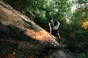 BIB: 
                            <button type="button" onclick="openModal(27949286)" class="btn btn-primary btn-sm float-right btn-popup" data-toggle="modal" data-target=".modal-high-quality">
                        <i class="fas fa-shopping-cart"></i> Add to Cart
                    </button>
                                            <button type="button" onclick="isThisMe(27949286, true)" class="btn btn-success btn-sm float-right btn-popup btn-isme hidden" data-toggle="tooltip" data-placement="bottom" title="นี่คือรูปของคุณใช่ไหม คลิกที่นี่เพื่อเอาเข้าอัลบั้ม">
                        <i class="fas fa-plus"></i> Add to album
                    </button>
                    <button type="button" onclick="isThisMe(27949286, false)" class="btn btn-warning btn-sm float-right btn-popup btn-isnotme hidden">
                        <i class="fas fa-ban"></i> Remove from album
                    </button>