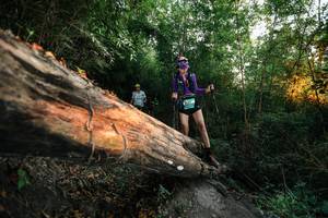 BIB: 
                            <button type="button" onclick="openModal(27957987)" class="btn btn-primary btn-sm float-right btn-popup" data-toggle="modal" data-target=".modal-high-quality">
                        <i class="fas fa-shopping-cart"></i> Add to Cart
                    </button>
                                            <button type="button" onclick="isThisMe(27957987, true)" class="btn btn-success btn-sm float-right btn-popup btn-isme hidden" data-toggle="tooltip" data-placement="bottom" title="นี่คือรูปของคุณใช่ไหม คลิกที่นี่เพื่อเอาเข้าอัลบั้ม">
                        <i class="fas fa-plus"></i> Add to album
                    </button>
                    <button type="button" onclick="isThisMe(27957987, false)" class="btn btn-warning btn-sm float-right btn-popup btn-isnotme hidden">
                        <i class="fas fa-ban"></i> Remove from album
                    </button>