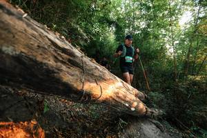 BIB: 
                            <button type="button" onclick="openModal(27944108)" class="btn btn-primary btn-sm float-right btn-popup" data-toggle="modal" data-target=".modal-high-quality">
                        <i class="fas fa-shopping-cart"></i> Add to Cart
                    </button>
                                            <button type="button" onclick="isThisMe(27944108, true)" class="btn btn-success btn-sm float-right btn-popup btn-isme hidden" data-toggle="tooltip" data-placement="bottom" title="นี่คือรูปของคุณใช่ไหม คลิกที่นี่เพื่อเอาเข้าอัลบั้ม">
                        <i class="fas fa-plus"></i> Add to album
                    </button>
                    <button type="button" onclick="isThisMe(27944108, false)" class="btn btn-warning btn-sm float-right btn-popup btn-isnotme hidden">
                        <i class="fas fa-ban"></i> Remove from album
                    </button>