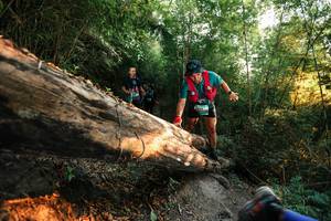 BIB: 
                            <button type="button" onclick="openModal(27942960)" class="btn btn-primary btn-sm float-right btn-popup" data-toggle="modal" data-target=".modal-high-quality">
                        <i class="fas fa-shopping-cart"></i> Add to Cart
                    </button>
                                            <button type="button" onclick="isThisMe(27942960, true)" class="btn btn-success btn-sm float-right btn-popup btn-isme hidden" data-toggle="tooltip" data-placement="bottom" title="นี่คือรูปของคุณใช่ไหม คลิกที่นี่เพื่อเอาเข้าอัลบั้ม">
                        <i class="fas fa-plus"></i> Add to album
                    </button>
                    <button type="button" onclick="isThisMe(27942960, false)" class="btn btn-warning btn-sm float-right btn-popup btn-isnotme hidden">
                        <i class="fas fa-ban"></i> Remove from album
                    </button>