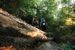 BIB: 
                            <button type="button" onclick="openModal(27942691)" class="btn btn-primary btn-sm float-right btn-popup" data-toggle="modal" data-target=".modal-high-quality">
                        <i class="fas fa-shopping-cart"></i> Add to Cart
                    </button>
                                            <button type="button" onclick="isThisMe(27942691, true)" class="btn btn-success btn-sm float-right btn-popup btn-isme hidden" data-toggle="tooltip" data-placement="bottom" title="นี่คือรูปของคุณใช่ไหม คลิกที่นี่เพื่อเอาเข้าอัลบั้ม">
                        <i class="fas fa-plus"></i> Add to album
                    </button>
                    <button type="button" onclick="isThisMe(27942691, false)" class="btn btn-warning btn-sm float-right btn-popup btn-isnotme hidden">
                        <i class="fas fa-ban"></i> Remove from album
                    </button>