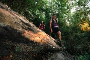 BIB: 
                            <button type="button" onclick="openModal(27950761)" class="btn btn-primary btn-sm float-right btn-popup" data-toggle="modal" data-target=".modal-high-quality">
                        <i class="fas fa-shopping-cart"></i> Add to Cart
                    </button>
                                            <button type="button" onclick="isThisMe(27950761, true)" class="btn btn-success btn-sm float-right btn-popup btn-isme hidden" data-toggle="tooltip" data-placement="bottom" title="นี่คือรูปของคุณใช่ไหม คลิกที่นี่เพื่อเอาเข้าอัลบั้ม">
                        <i class="fas fa-plus"></i> Add to album
                    </button>
                    <button type="button" onclick="isThisMe(27950761, false)" class="btn btn-warning btn-sm float-right btn-popup btn-isnotme hidden">
                        <i class="fas fa-ban"></i> Remove from album
                    </button>