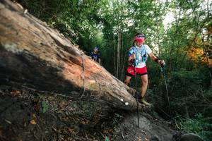 BIB: 
                            <button type="button" onclick="openModal(27958492)" class="btn btn-primary btn-sm float-right btn-popup" data-toggle="modal" data-target=".modal-high-quality">
                        <i class="fas fa-shopping-cart"></i> Add to Cart
                    </button>
                                            <button type="button" onclick="isThisMe(27958492, true)" class="btn btn-success btn-sm float-right btn-popup btn-isme hidden" data-toggle="tooltip" data-placement="bottom" title="นี่คือรูปของคุณใช่ไหม คลิกที่นี่เพื่อเอาเข้าอัลบั้ม">
                        <i class="fas fa-plus"></i> Add to album
                    </button>
                    <button type="button" onclick="isThisMe(27958492, false)" class="btn btn-warning btn-sm float-right btn-popup btn-isnotme hidden">
                        <i class="fas fa-ban"></i> Remove from album
                    </button>