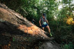 BIB: 
                            <button type="button" onclick="openModal(27949691)" class="btn btn-primary btn-sm float-right btn-popup" data-toggle="modal" data-target=".modal-high-quality">
                        <i class="fas fa-shopping-cart"></i> Add to Cart
                    </button>
                                            <button type="button" onclick="isThisMe(27949691, true)" class="btn btn-success btn-sm float-right btn-popup btn-isme hidden" data-toggle="tooltip" data-placement="bottom" title="นี่คือรูปของคุณใช่ไหม คลิกที่นี่เพื่อเอาเข้าอัลบั้ม">
                        <i class="fas fa-plus"></i> Add to album
                    </button>
                    <button type="button" onclick="isThisMe(27949691, false)" class="btn btn-warning btn-sm float-right btn-popup btn-isnotme hidden">
                        <i class="fas fa-ban"></i> Remove from album
                    </button>