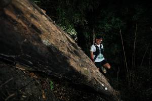 BIB: 
                            <button type="button" onclick="openModal(27964100)" class="btn btn-primary btn-sm float-right btn-popup" data-toggle="modal" data-target=".modal-high-quality">
                        <i class="fas fa-shopping-cart"></i> Add to Cart
                    </button>
                                            <button type="button" onclick="isThisMe(27964100, true)" class="btn btn-success btn-sm float-right btn-popup btn-isme hidden" data-toggle="tooltip" data-placement="bottom" title="นี่คือรูปของคุณใช่ไหม คลิกที่นี่เพื่อเอาเข้าอัลบั้ม">
                        <i class="fas fa-plus"></i> Add to album
                    </button>
                    <button type="button" onclick="isThisMe(27964100, false)" class="btn btn-warning btn-sm float-right btn-popup btn-isnotme hidden">
                        <i class="fas fa-ban"></i> Remove from album
                    </button>