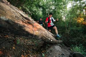 BIB: 
                            <button type="button" onclick="openModal(27958300)" class="btn btn-primary btn-sm float-right btn-popup" data-toggle="modal" data-target=".modal-high-quality">
                        <i class="fas fa-shopping-cart"></i> Add to Cart
                    </button>
                                            <button type="button" onclick="isThisMe(27958300, true)" class="btn btn-success btn-sm float-right btn-popup btn-isme hidden" data-toggle="tooltip" data-placement="bottom" title="นี่คือรูปของคุณใช่ไหม คลิกที่นี่เพื่อเอาเข้าอัลบั้ม">
                        <i class="fas fa-plus"></i> Add to album
                    </button>
                    <button type="button" onclick="isThisMe(27958300, false)" class="btn btn-warning btn-sm float-right btn-popup btn-isnotme hidden">
                        <i class="fas fa-ban"></i> Remove from album
                    </button>