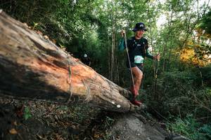 BIB: 
                            <button type="button" onclick="openModal(27958191)" class="btn btn-primary btn-sm float-right btn-popup" data-toggle="modal" data-target=".modal-high-quality">
                        <i class="fas fa-shopping-cart"></i> Add to Cart
                    </button>
                                            <button type="button" onclick="isThisMe(27958191, true)" class="btn btn-success btn-sm float-right btn-popup btn-isme hidden" data-toggle="tooltip" data-placement="bottom" title="นี่คือรูปของคุณใช่ไหม คลิกที่นี่เพื่อเอาเข้าอัลบั้ม">
                        <i class="fas fa-plus"></i> Add to album
                    </button>
                    <button type="button" onclick="isThisMe(27958191, false)" class="btn btn-warning btn-sm float-right btn-popup btn-isnotme hidden">
                        <i class="fas fa-ban"></i> Remove from album
                    </button>