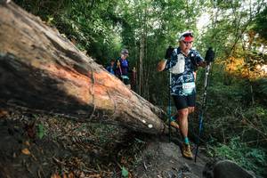 BIB: 
                            <button type="button" onclick="openModal(27958225)" class="btn btn-primary btn-sm float-right btn-popup" data-toggle="modal" data-target=".modal-high-quality">
                        <i class="fas fa-shopping-cart"></i> Add to Cart
                    </button>
                                            <button type="button" onclick="isThisMe(27958225, true)" class="btn btn-success btn-sm float-right btn-popup btn-isme hidden" data-toggle="tooltip" data-placement="bottom" title="นี่คือรูปของคุณใช่ไหม คลิกที่นี่เพื่อเอาเข้าอัลบั้ม">
                        <i class="fas fa-plus"></i> Add to album
                    </button>
                    <button type="button" onclick="isThisMe(27958225, false)" class="btn btn-warning btn-sm float-right btn-popup btn-isnotme hidden">
                        <i class="fas fa-ban"></i> Remove from album
                    </button>