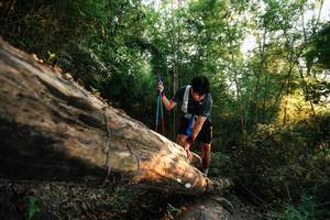 BIB: 
                            <button type="button" onclick="openModal(27938660)" class="btn btn-primary btn-sm float-right btn-popup" data-toggle="modal" data-target=".modal-high-quality">
                        <i class="fas fa-shopping-cart"></i> Add to Cart
                    </button>
                                            <button type="button" onclick="isThisMe(27938660, true)" class="btn btn-success btn-sm float-right btn-popup btn-isme hidden" data-toggle="tooltip" data-placement="bottom" title="นี่คือรูปของคุณใช่ไหม คลิกที่นี่เพื่อเอาเข้าอัลบั้ม">
                        <i class="fas fa-plus"></i> Add to album
                    </button>
                    <button type="button" onclick="isThisMe(27938660, false)" class="btn btn-warning btn-sm float-right btn-popup btn-isnotme hidden">
                        <i class="fas fa-ban"></i> Remove from album
                    </button>