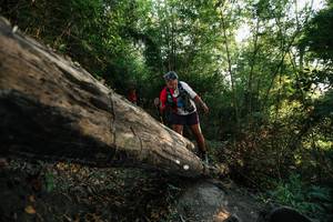 BIB: 
                            <button type="button" onclick="openModal(27935535)" class="btn btn-primary btn-sm float-right btn-popup" data-toggle="modal" data-target=".modal-high-quality">
                        <i class="fas fa-shopping-cart"></i> Add to Cart
                    </button>
                                            <button type="button" onclick="isThisMe(27935535, true)" class="btn btn-success btn-sm float-right btn-popup btn-isme hidden" data-toggle="tooltip" data-placement="bottom" title="นี่คือรูปของคุณใช่ไหม คลิกที่นี่เพื่อเอาเข้าอัลบั้ม">
                        <i class="fas fa-plus"></i> Add to album
                    </button>
                    <button type="button" onclick="isThisMe(27935535, false)" class="btn btn-warning btn-sm float-right btn-popup btn-isnotme hidden">
                        <i class="fas fa-ban"></i> Remove from album
                    </button>