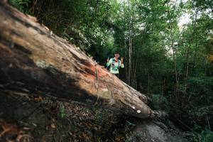 BIB: 
                            <button type="button" onclick="openModal(27958719)" class="btn btn-primary btn-sm float-right btn-popup" data-toggle="modal" data-target=".modal-high-quality">
                        <i class="fas fa-shopping-cart"></i> Add to Cart
                    </button>
                                            <button type="button" onclick="isThisMe(27958719, true)" class="btn btn-success btn-sm float-right btn-popup btn-isme hidden" data-toggle="tooltip" data-placement="bottom" title="นี่คือรูปของคุณใช่ไหม คลิกที่นี่เพื่อเอาเข้าอัลบั้ม">
                        <i class="fas fa-plus"></i> Add to album
                    </button>
                    <button type="button" onclick="isThisMe(27958719, false)" class="btn btn-warning btn-sm float-right btn-popup btn-isnotme hidden">
                        <i class="fas fa-ban"></i> Remove from album
                    </button>