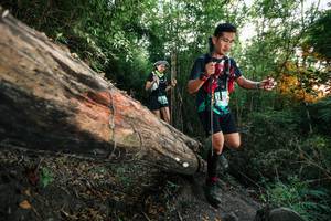 BIB: 
                            <button type="button" onclick="openModal(27958596)" class="btn btn-primary btn-sm float-right btn-popup" data-toggle="modal" data-target=".modal-high-quality">
                        <i class="fas fa-shopping-cart"></i> Add to Cart
                    </button>
                                            <button type="button" onclick="isThisMe(27958596, true)" class="btn btn-success btn-sm float-right btn-popup btn-isme hidden" data-toggle="tooltip" data-placement="bottom" title="นี่คือรูปของคุณใช่ไหม คลิกที่นี่เพื่อเอาเข้าอัลบั้ม">
                        <i class="fas fa-plus"></i> Add to album
                    </button>
                    <button type="button" onclick="isThisMe(27958596, false)" class="btn btn-warning btn-sm float-right btn-popup btn-isnotme hidden">
                        <i class="fas fa-ban"></i> Remove from album
                    </button>