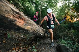 BIB: 
                            <button type="button" onclick="openModal(27958374)" class="btn btn-primary btn-sm float-right btn-popup" data-toggle="modal" data-target=".modal-high-quality">
                        <i class="fas fa-shopping-cart"></i> Add to Cart
                    </button>
                                            <button type="button" onclick="isThisMe(27958374, true)" class="btn btn-success btn-sm float-right btn-popup btn-isme hidden" data-toggle="tooltip" data-placement="bottom" title="นี่คือรูปของคุณใช่ไหม คลิกที่นี่เพื่อเอาเข้าอัลบั้ม">
                        <i class="fas fa-plus"></i> Add to album
                    </button>
                    <button type="button" onclick="isThisMe(27958374, false)" class="btn btn-warning btn-sm float-right btn-popup btn-isnotme hidden">
                        <i class="fas fa-ban"></i> Remove from album
                    </button>