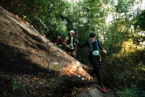 BIB: 
                            <button type="button" onclick="openModal(27938546)" class="btn btn-primary btn-sm float-right btn-popup" data-toggle="modal" data-target=".modal-high-quality">
                        <i class="fas fa-shopping-cart"></i> Add to Cart
                    </button>
                                            <button type="button" onclick="isThisMe(27938546, true)" class="btn btn-success btn-sm float-right btn-popup btn-isme hidden" data-toggle="tooltip" data-placement="bottom" title="นี่คือรูปของคุณใช่ไหม คลิกที่นี่เพื่อเอาเข้าอัลบั้ม">
                        <i class="fas fa-plus"></i> Add to album
                    </button>
                    <button type="button" onclick="isThisMe(27938546, false)" class="btn btn-warning btn-sm float-right btn-popup btn-isnotme hidden">
                        <i class="fas fa-ban"></i> Remove from album
                    </button>