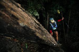 BIB: 
                            <button type="button" onclick="openModal(27963818)" class="btn btn-primary btn-sm float-right btn-popup" data-toggle="modal" data-target=".modal-high-quality">
                        <i class="fas fa-shopping-cart"></i> Add to Cart
                    </button>
                                            <button type="button" onclick="isThisMe(27963818, true)" class="btn btn-success btn-sm float-right btn-popup btn-isme hidden" data-toggle="tooltip" data-placement="bottom" title="นี่คือรูปของคุณใช่ไหม คลิกที่นี่เพื่อเอาเข้าอัลบั้ม">
                        <i class="fas fa-plus"></i> Add to album
                    </button>
                    <button type="button" onclick="isThisMe(27963818, false)" class="btn btn-warning btn-sm float-right btn-popup btn-isnotme hidden">
                        <i class="fas fa-ban"></i> Remove from album
                    </button>