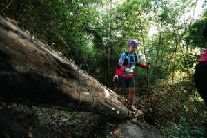 BIB: 
                            <button type="button" onclick="openModal(27934950)" class="btn btn-primary btn-sm float-right btn-popup" data-toggle="modal" data-target=".modal-high-quality">
                        <i class="fas fa-shopping-cart"></i> Add to Cart
                    </button>
                                            <button type="button" onclick="isThisMe(27934950, true)" class="btn btn-success btn-sm float-right btn-popup btn-isme hidden" data-toggle="tooltip" data-placement="bottom" title="นี่คือรูปของคุณใช่ไหม คลิกที่นี่เพื่อเอาเข้าอัลบั้ม">
                        <i class="fas fa-plus"></i> Add to album
                    </button>
                    <button type="button" onclick="isThisMe(27934950, false)" class="btn btn-warning btn-sm float-right btn-popup btn-isnotme hidden">
                        <i class="fas fa-ban"></i> Remove from album
                    </button>