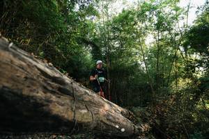 BIB: 
                            <button type="button" onclick="openModal(27935606)" class="btn btn-primary btn-sm float-right btn-popup" data-toggle="modal" data-target=".modal-high-quality">
                        <i class="fas fa-shopping-cart"></i> Add to Cart
                    </button>
                                            <button type="button" onclick="isThisMe(27935606, true)" class="btn btn-success btn-sm float-right btn-popup btn-isme hidden" data-toggle="tooltip" data-placement="bottom" title="นี่คือรูปของคุณใช่ไหม คลิกที่นี่เพื่อเอาเข้าอัลบั้ม">
                        <i class="fas fa-plus"></i> Add to album
                    </button>
                    <button type="button" onclick="isThisMe(27935606, false)" class="btn btn-warning btn-sm float-right btn-popup btn-isnotme hidden">
                        <i class="fas fa-ban"></i> Remove from album
                    </button>