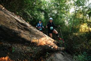 BIB: 
                            <button type="button" onclick="openModal(27940023)" class="btn btn-primary btn-sm float-right btn-popup" data-toggle="modal" data-target=".modal-high-quality">
                        <i class="fas fa-shopping-cart"></i> Add to Cart
                    </button>
                                            <button type="button" onclick="isThisMe(27940023, true)" class="btn btn-success btn-sm float-right btn-popup btn-isme hidden" data-toggle="tooltip" data-placement="bottom" title="นี่คือรูปของคุณใช่ไหม คลิกที่นี่เพื่อเอาเข้าอัลบั้ม">
                        <i class="fas fa-plus"></i> Add to album
                    </button>
                    <button type="button" onclick="isThisMe(27940023, false)" class="btn btn-warning btn-sm float-right btn-popup btn-isnotme hidden">
                        <i class="fas fa-ban"></i> Remove from album
                    </button>