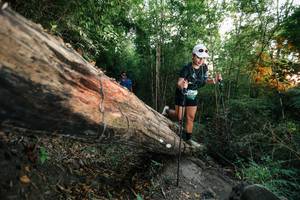 BIB: 
                            <button type="button" onclick="openModal(27958538)" class="btn btn-primary btn-sm float-right btn-popup" data-toggle="modal" data-target=".modal-high-quality">
                        <i class="fas fa-shopping-cart"></i> Add to Cart
                    </button>
                                            <button type="button" onclick="isThisMe(27958538, true)" class="btn btn-success btn-sm float-right btn-popup btn-isme hidden" data-toggle="tooltip" data-placement="bottom" title="นี่คือรูปของคุณใช่ไหม คลิกที่นี่เพื่อเอาเข้าอัลบั้ม">
                        <i class="fas fa-plus"></i> Add to album
                    </button>
                    <button type="button" onclick="isThisMe(27958538, false)" class="btn btn-warning btn-sm float-right btn-popup btn-isnotme hidden">
                        <i class="fas fa-ban"></i> Remove from album
                    </button>