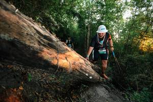 BIB: 
                            <button type="button" onclick="openModal(27949416)" class="btn btn-primary btn-sm float-right btn-popup" data-toggle="modal" data-target=".modal-high-quality">
                        <i class="fas fa-shopping-cart"></i> Add to Cart
                    </button>
                                            <button type="button" onclick="isThisMe(27949416, true)" class="btn btn-success btn-sm float-right btn-popup btn-isme hidden" data-toggle="tooltip" data-placement="bottom" title="นี่คือรูปของคุณใช่ไหม คลิกที่นี่เพื่อเอาเข้าอัลบั้ม">
                        <i class="fas fa-plus"></i> Add to album
                    </button>
                    <button type="button" onclick="isThisMe(27949416, false)" class="btn btn-warning btn-sm float-right btn-popup btn-isnotme hidden">
                        <i class="fas fa-ban"></i> Remove from album
                    </button>