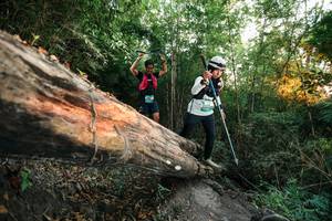 BIB: 
                            <button type="button" onclick="openModal(27958136)" class="btn btn-primary btn-sm float-right btn-popup" data-toggle="modal" data-target=".modal-high-quality">
                        <i class="fas fa-shopping-cart"></i> Add to Cart
                    </button>
                                            <button type="button" onclick="isThisMe(27958136, true)" class="btn btn-success btn-sm float-right btn-popup btn-isme hidden" data-toggle="tooltip" data-placement="bottom" title="นี่คือรูปของคุณใช่ไหม คลิกที่นี่เพื่อเอาเข้าอัลบั้ม">
                        <i class="fas fa-plus"></i> Add to album
                    </button>
                    <button type="button" onclick="isThisMe(27958136, false)" class="btn btn-warning btn-sm float-right btn-popup btn-isnotme hidden">
                        <i class="fas fa-ban"></i> Remove from album
                    </button>