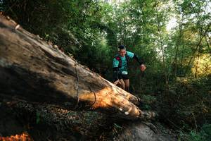 BIB: 
                            <button type="button" onclick="openModal(27940568)" class="btn btn-primary btn-sm float-right btn-popup" data-toggle="modal" data-target=".modal-high-quality">
                        <i class="fas fa-shopping-cart"></i> Add to Cart
                    </button>
                                            <button type="button" onclick="isThisMe(27940568, true)" class="btn btn-success btn-sm float-right btn-popup btn-isme hidden" data-toggle="tooltip" data-placement="bottom" title="นี่คือรูปของคุณใช่ไหม คลิกที่นี่เพื่อเอาเข้าอัลบั้ม">
                        <i class="fas fa-plus"></i> Add to album
                    </button>
                    <button type="button" onclick="isThisMe(27940568, false)" class="btn btn-warning btn-sm float-right btn-popup btn-isnotme hidden">
                        <i class="fas fa-ban"></i> Remove from album
                    </button>