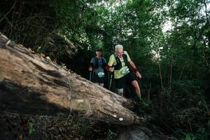 BIB: 
                            <button type="button" onclick="openModal(27959512)" class="btn btn-primary btn-sm float-right btn-popup" data-toggle="modal" data-target=".modal-high-quality">
                        <i class="fas fa-shopping-cart"></i> Add to Cart
                    </button>
                                            <button type="button" onclick="isThisMe(27959512, true)" class="btn btn-success btn-sm float-right btn-popup btn-isme hidden" data-toggle="tooltip" data-placement="bottom" title="นี่คือรูปของคุณใช่ไหม คลิกที่นี่เพื่อเอาเข้าอัลบั้ม">
                        <i class="fas fa-plus"></i> Add to album
                    </button>
                    <button type="button" onclick="isThisMe(27959512, false)" class="btn btn-warning btn-sm float-right btn-popup btn-isnotme hidden">
                        <i class="fas fa-ban"></i> Remove from album
                    </button>