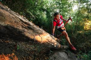 BIB: 
                            <button type="button" onclick="openModal(27946371)" class="btn btn-primary btn-sm float-right btn-popup" data-toggle="modal" data-target=".modal-high-quality">
                        <i class="fas fa-shopping-cart"></i> Add to Cart
                    </button>
                                            <button type="button" onclick="isThisMe(27946371, true)" class="btn btn-success btn-sm float-right btn-popup btn-isme hidden" data-toggle="tooltip" data-placement="bottom" title="นี่คือรูปของคุณใช่ไหม คลิกที่นี่เพื่อเอาเข้าอัลบั้ม">
                        <i class="fas fa-plus"></i> Add to album
                    </button>
                    <button type="button" onclick="isThisMe(27946371, false)" class="btn btn-warning btn-sm float-right btn-popup btn-isnotme hidden">
                        <i class="fas fa-ban"></i> Remove from album
                    </button>