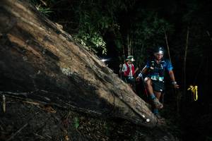 BIB: 
                            <button type="button" onclick="openModal(27964727)" class="btn btn-primary btn-sm float-right btn-popup" data-toggle="modal" data-target=".modal-high-quality">
                        <i class="fas fa-shopping-cart"></i> Add to Cart
                    </button>
                                            <button type="button" onclick="isThisMe(27964727, true)" class="btn btn-success btn-sm float-right btn-popup btn-isme hidden" data-toggle="tooltip" data-placement="bottom" title="นี่คือรูปของคุณใช่ไหม คลิกที่นี่เพื่อเอาเข้าอัลบั้ม">
                        <i class="fas fa-plus"></i> Add to album
                    </button>
                    <button type="button" onclick="isThisMe(27964727, false)" class="btn btn-warning btn-sm float-right btn-popup btn-isnotme hidden">
                        <i class="fas fa-ban"></i> Remove from album
                    </button>