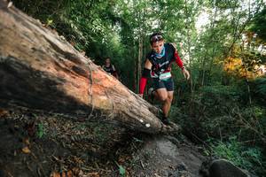 BIB: 
                            <button type="button" onclick="openModal(27958319)" class="btn btn-primary btn-sm float-right btn-popup" data-toggle="modal" data-target=".modal-high-quality">
                        <i class="fas fa-shopping-cart"></i> Add to Cart
                    </button>
                                            <button type="button" onclick="isThisMe(27958319, true)" class="btn btn-success btn-sm float-right btn-popup btn-isme hidden" data-toggle="tooltip" data-placement="bottom" title="นี่คือรูปของคุณใช่ไหม คลิกที่นี่เพื่อเอาเข้าอัลบั้ม">
                        <i class="fas fa-plus"></i> Add to album
                    </button>
                    <button type="button" onclick="isThisMe(27958319, false)" class="btn btn-warning btn-sm float-right btn-popup btn-isnotme hidden">
                        <i class="fas fa-ban"></i> Remove from album
                    </button>