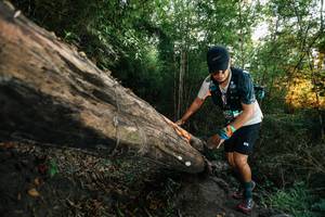 BIB: 
                            <button type="button" onclick="openModal(27949225)" class="btn btn-primary btn-sm float-right btn-popup" data-toggle="modal" data-target=".modal-high-quality">
                        <i class="fas fa-shopping-cart"></i> Add to Cart
                    </button>
                                            <button type="button" onclick="isThisMe(27949225, true)" class="btn btn-success btn-sm float-right btn-popup btn-isme hidden" data-toggle="tooltip" data-placement="bottom" title="นี่คือรูปของคุณใช่ไหม คลิกที่นี่เพื่อเอาเข้าอัลบั้ม">
                        <i class="fas fa-plus"></i> Add to album
                    </button>
                    <button type="button" onclick="isThisMe(27949225, false)" class="btn btn-warning btn-sm float-right btn-popup btn-isnotme hidden">
                        <i class="fas fa-ban"></i> Remove from album
                    </button>