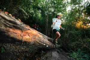 BIB: 
                            <button type="button" onclick="openModal(27957965)" class="btn btn-primary btn-sm float-right btn-popup" data-toggle="modal" data-target=".modal-high-quality">
                        <i class="fas fa-shopping-cart"></i> Add to Cart
                    </button>
                                            <button type="button" onclick="isThisMe(27957965, true)" class="btn btn-success btn-sm float-right btn-popup btn-isme hidden" data-toggle="tooltip" data-placement="bottom" title="นี่คือรูปของคุณใช่ไหม คลิกที่นี่เพื่อเอาเข้าอัลบั้ม">
                        <i class="fas fa-plus"></i> Add to album
                    </button>
                    <button type="button" onclick="isThisMe(27957965, false)" class="btn btn-warning btn-sm float-right btn-popup btn-isnotme hidden">
                        <i class="fas fa-ban"></i> Remove from album
                    </button>