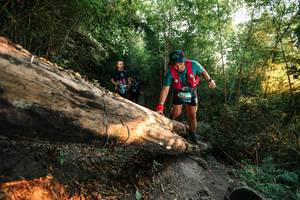 BIB: 
                            <button type="button" onclick="openModal(27942940)" class="btn btn-primary btn-sm float-right btn-popup" data-toggle="modal" data-target=".modal-high-quality">
                        <i class="fas fa-shopping-cart"></i> Add to Cart
                    </button>
                                            <button type="button" onclick="isThisMe(27942940, true)" class="btn btn-success btn-sm float-right btn-popup btn-isme hidden" data-toggle="tooltip" data-placement="bottom" title="นี่คือรูปของคุณใช่ไหม คลิกที่นี่เพื่อเอาเข้าอัลบั้ม">
                        <i class="fas fa-plus"></i> Add to album
                    </button>
                    <button type="button" onclick="isThisMe(27942940, false)" class="btn btn-warning btn-sm float-right btn-popup btn-isnotme hidden">
                        <i class="fas fa-ban"></i> Remove from album
                    </button>