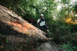 BIB: 
                            <button type="button" onclick="openModal(27958144)" class="btn btn-primary btn-sm float-right btn-popup" data-toggle="modal" data-target=".modal-high-quality">
                        <i class="fas fa-shopping-cart"></i> Add to Cart
                    </button>
                                            <button type="button" onclick="isThisMe(27958144, true)" class="btn btn-success btn-sm float-right btn-popup btn-isme hidden" data-toggle="tooltip" data-placement="bottom" title="นี่คือรูปของคุณใช่ไหม คลิกที่นี่เพื่อเอาเข้าอัลบั้ม">
                        <i class="fas fa-plus"></i> Add to album
                    </button>
                    <button type="button" onclick="isThisMe(27958144, false)" class="btn btn-warning btn-sm float-right btn-popup btn-isnotme hidden">
                        <i class="fas fa-ban"></i> Remove from album
                    </button>