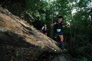 BIB: 
                            <button type="button" onclick="openModal(27959626)" class="btn btn-primary btn-sm float-right btn-popup" data-toggle="modal" data-target=".modal-high-quality">
                        <i class="fas fa-shopping-cart"></i> Add to Cart
                    </button>
                                            <button type="button" onclick="isThisMe(27959626, true)" class="btn btn-success btn-sm float-right btn-popup btn-isme hidden" data-toggle="tooltip" data-placement="bottom" title="นี่คือรูปของคุณใช่ไหม คลิกที่นี่เพื่อเอาเข้าอัลบั้ม">
                        <i class="fas fa-plus"></i> Add to album
                    </button>
                    <button type="button" onclick="isThisMe(27959626, false)" class="btn btn-warning btn-sm float-right btn-popup btn-isnotme hidden">
                        <i class="fas fa-ban"></i> Remove from album
                    </button>