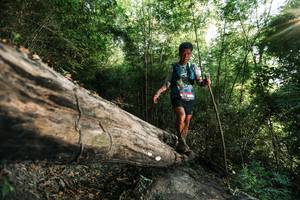 BIB: 
                            <button type="button" onclick="openModal(27934599)" class="btn btn-primary btn-sm float-right btn-popup" data-toggle="modal" data-target=".modal-high-quality">
                        <i class="fas fa-shopping-cart"></i> Add to Cart
                    </button>
                                            <button type="button" onclick="isThisMe(27934599, true)" class="btn btn-success btn-sm float-right btn-popup btn-isme hidden" data-toggle="tooltip" data-placement="bottom" title="นี่คือรูปของคุณใช่ไหม คลิกที่นี่เพื่อเอาเข้าอัลบั้ม">
                        <i class="fas fa-plus"></i> Add to album
                    </button>
                    <button type="button" onclick="isThisMe(27934599, false)" class="btn btn-warning btn-sm float-right btn-popup btn-isnotme hidden">
                        <i class="fas fa-ban"></i> Remove from album
                    </button>