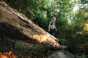 BIB: 
                            <button type="button" onclick="openModal(27943236)" class="btn btn-primary btn-sm float-right btn-popup" data-toggle="modal" data-target=".modal-high-quality">
                        <i class="fas fa-shopping-cart"></i> Add to Cart
                    </button>
                                            <button type="button" onclick="isThisMe(27943236, true)" class="btn btn-success btn-sm float-right btn-popup btn-isme hidden" data-toggle="tooltip" data-placement="bottom" title="นี่คือรูปของคุณใช่ไหม คลิกที่นี่เพื่อเอาเข้าอัลบั้ม">
                        <i class="fas fa-plus"></i> Add to album
                    </button>
                    <button type="button" onclick="isThisMe(27943236, false)" class="btn btn-warning btn-sm float-right btn-popup btn-isnotme hidden">
                        <i class="fas fa-ban"></i> Remove from album
                    </button>