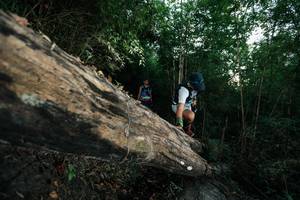 BIB: 
                            <button type="button" onclick="openModal(27959803)" class="btn btn-primary btn-sm float-right btn-popup" data-toggle="modal" data-target=".modal-high-quality">
                        <i class="fas fa-shopping-cart"></i> Add to Cart
                    </button>
                                            <button type="button" onclick="isThisMe(27959803, true)" class="btn btn-success btn-sm float-right btn-popup btn-isme hidden" data-toggle="tooltip" data-placement="bottom" title="นี่คือรูปของคุณใช่ไหม คลิกที่นี่เพื่อเอาเข้าอัลบั้ม">
                        <i class="fas fa-plus"></i> Add to album
                    </button>
                    <button type="button" onclick="isThisMe(27959803, false)" class="btn btn-warning btn-sm float-right btn-popup btn-isnotme hidden">
                        <i class="fas fa-ban"></i> Remove from album
                    </button>