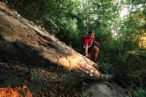 BIB: 
                            <button type="button" onclick="openModal(27946438)" class="btn btn-primary btn-sm float-right btn-popup" data-toggle="modal" data-target=".modal-high-quality">
                        <i class="fas fa-shopping-cart"></i> Add to Cart
                    </button>
                                            <button type="button" onclick="isThisMe(27946438, true)" class="btn btn-success btn-sm float-right btn-popup btn-isme hidden" data-toggle="tooltip" data-placement="bottom" title="นี่คือรูปของคุณใช่ไหม คลิกที่นี่เพื่อเอาเข้าอัลบั้ม">
                        <i class="fas fa-plus"></i> Add to album
                    </button>
                    <button type="button" onclick="isThisMe(27946438, false)" class="btn btn-warning btn-sm float-right btn-popup btn-isnotme hidden">
                        <i class="fas fa-ban"></i> Remove from album
                    </button>