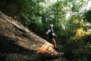 BIB: 
                            <button type="button" onclick="openModal(27938875)" class="btn btn-primary btn-sm float-right btn-popup" data-toggle="modal" data-target=".modal-high-quality">
                        <i class="fas fa-shopping-cart"></i> Add to Cart
                    </button>
                                            <button type="button" onclick="isThisMe(27938875, true)" class="btn btn-success btn-sm float-right btn-popup btn-isme hidden" data-toggle="tooltip" data-placement="bottom" title="นี่คือรูปของคุณใช่ไหม คลิกที่นี่เพื่อเอาเข้าอัลบั้ม">
                        <i class="fas fa-plus"></i> Add to album
                    </button>
                    <button type="button" onclick="isThisMe(27938875, false)" class="btn btn-warning btn-sm float-right btn-popup btn-isnotme hidden">
                        <i class="fas fa-ban"></i> Remove from album
                    </button>