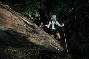 BIB: 
                            <button type="button" onclick="openModal(27962568)" class="btn btn-primary btn-sm float-right btn-popup" data-toggle="modal" data-target=".modal-high-quality">
                        <i class="fas fa-shopping-cart"></i> Add to Cart
                    </button>
                                            <button type="button" onclick="isThisMe(27962568, true)" class="btn btn-success btn-sm float-right btn-popup btn-isme hidden" data-toggle="tooltip" data-placement="bottom" title="นี่คือรูปของคุณใช่ไหม คลิกที่นี่เพื่อเอาเข้าอัลบั้ม">
                        <i class="fas fa-plus"></i> Add to album
                    </button>
                    <button type="button" onclick="isThisMe(27962568, false)" class="btn btn-warning btn-sm float-right btn-popup btn-isnotme hidden">
                        <i class="fas fa-ban"></i> Remove from album
                    </button>