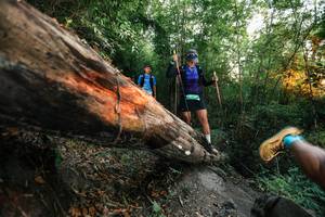 BIB: 
                            <button type="button" onclick="openModal(27958219)" class="btn btn-primary btn-sm float-right btn-popup" data-toggle="modal" data-target=".modal-high-quality">
                        <i class="fas fa-shopping-cart"></i> Add to Cart
                    </button>
                                            <button type="button" onclick="isThisMe(27958219, true)" class="btn btn-success btn-sm float-right btn-popup btn-isme hidden" data-toggle="tooltip" data-placement="bottom" title="นี่คือรูปของคุณใช่ไหม คลิกที่นี่เพื่อเอาเข้าอัลบั้ม">
                        <i class="fas fa-plus"></i> Add to album
                    </button>
                    <button type="button" onclick="isThisMe(27958219, false)" class="btn btn-warning btn-sm float-right btn-popup btn-isnotme hidden">
                        <i class="fas fa-ban"></i> Remove from album
                    </button>