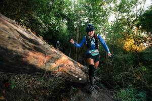 BIB: 
                            <button type="button" onclick="openModal(27951373)" class="btn btn-primary btn-sm float-right btn-popup" data-toggle="modal" data-target=".modal-high-quality">
                        <i class="fas fa-shopping-cart"></i> Add to Cart
                    </button>
                                            <button type="button" onclick="isThisMe(27951373, true)" class="btn btn-success btn-sm float-right btn-popup btn-isme hidden" data-toggle="tooltip" data-placement="bottom" title="นี่คือรูปของคุณใช่ไหม คลิกที่นี่เพื่อเอาเข้าอัลบั้ม">
                        <i class="fas fa-plus"></i> Add to album
                    </button>
                    <button type="button" onclick="isThisMe(27951373, false)" class="btn btn-warning btn-sm float-right btn-popup btn-isnotme hidden">
                        <i class="fas fa-ban"></i> Remove from album
                    </button>