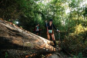 BIB: 
                            <button type="button" onclick="openModal(27936780)" class="btn btn-primary btn-sm float-right btn-popup" data-toggle="modal" data-target=".modal-high-quality">
                        <i class="fas fa-shopping-cart"></i> Add to Cart
                    </button>
                                            <button type="button" onclick="isThisMe(27936780, true)" class="btn btn-success btn-sm float-right btn-popup btn-isme hidden" data-toggle="tooltip" data-placement="bottom" title="นี่คือรูปของคุณใช่ไหม คลิกที่นี่เพื่อเอาเข้าอัลบั้ม">
                        <i class="fas fa-plus"></i> Add to album
                    </button>
                    <button type="button" onclick="isThisMe(27936780, false)" class="btn btn-warning btn-sm float-right btn-popup btn-isnotme hidden">
                        <i class="fas fa-ban"></i> Remove from album
                    </button>