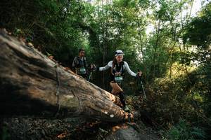 BIB: 
                            <button type="button" onclick="openModal(27935179)" class="btn btn-primary btn-sm float-right btn-popup" data-toggle="modal" data-target=".modal-high-quality">
                        <i class="fas fa-shopping-cart"></i> Add to Cart
                    </button>
                                            <button type="button" onclick="isThisMe(27935179, true)" class="btn btn-success btn-sm float-right btn-popup btn-isme hidden" data-toggle="tooltip" data-placement="bottom" title="นี่คือรูปของคุณใช่ไหม คลิกที่นี่เพื่อเอาเข้าอัลบั้ม">
                        <i class="fas fa-plus"></i> Add to album
                    </button>
                    <button type="button" onclick="isThisMe(27935179, false)" class="btn btn-warning btn-sm float-right btn-popup btn-isnotme hidden">
                        <i class="fas fa-ban"></i> Remove from album
                    </button>